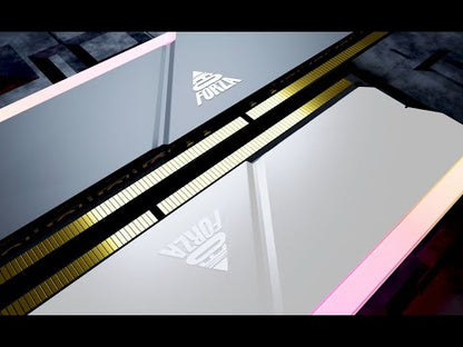 NEO FORZA TRINITY OVERCLOCKING BLACK/WHITE RGB DDR5 U-DIMM 32GB(2x16GB), 6000/6400/7200MHz, CL40/CL34, 1.3V/1.4V INTEL XMP 3.0 Support Kit